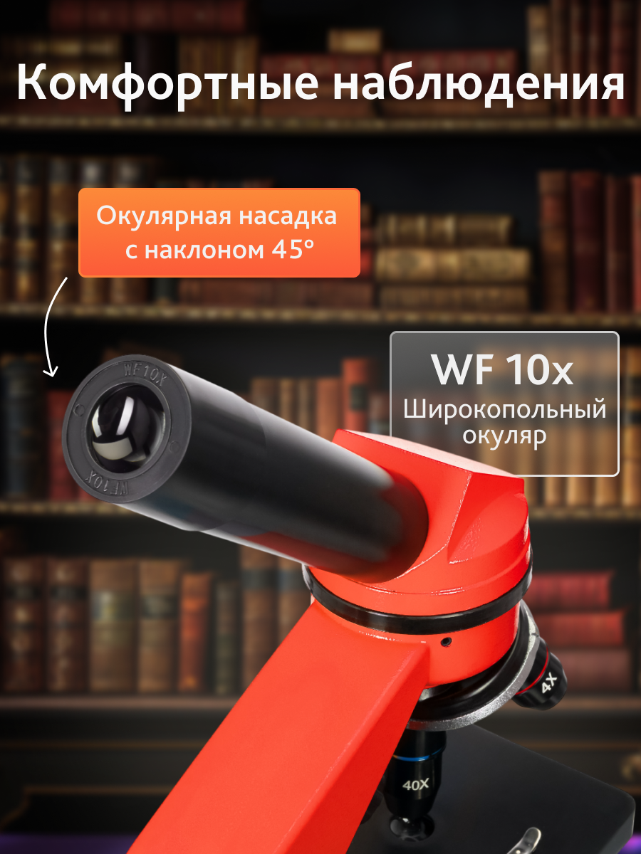 Микроскоп levenhuk rainbow 2l Микроскоп levenhuk rainbow 2l