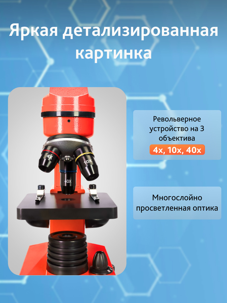 Микроскоп levenhuk rainbow 2l Микроскоп levenhuk rainbow 2l